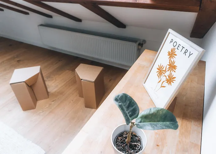 Raum Life - Loftwohnung Am Park *