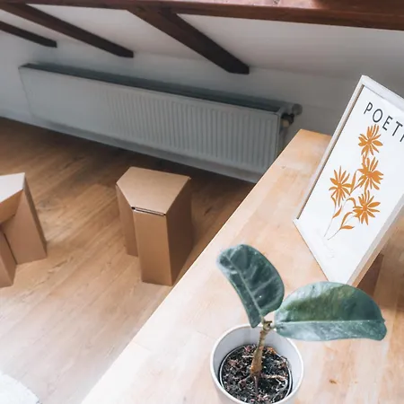 Raum Life - Loftwohnung Am Park *