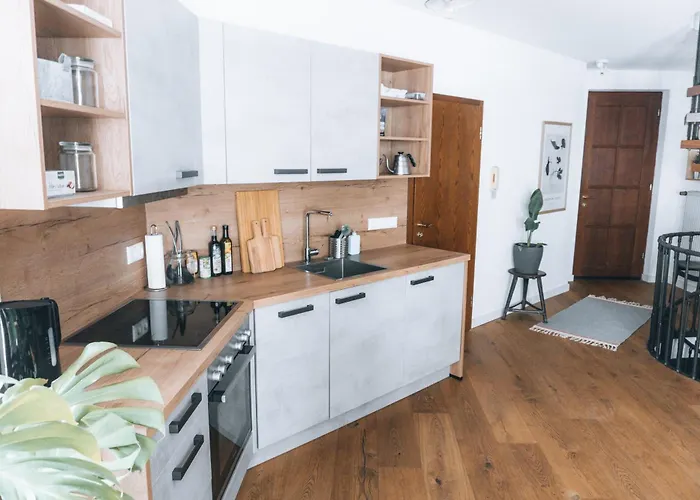 Apartman Raum Life - Loftwohnung Am Park